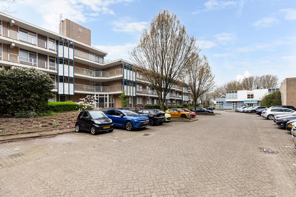 Zadkinerade 17_39.jpg